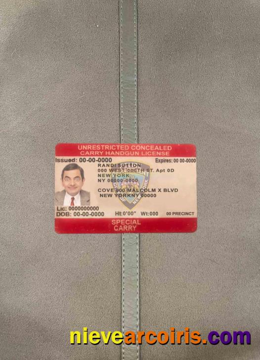 USA New York unrestricted concealed carry license photolook